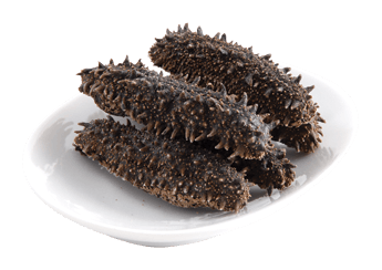 Dried Sea Cucumber